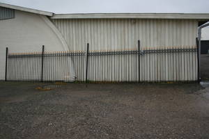 Smedejernshegn 4 med guldspir og stolper5 Højde 160 cm