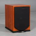 Avance Subwoofer, model Dana Sub 600