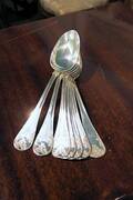Skedar, Silver