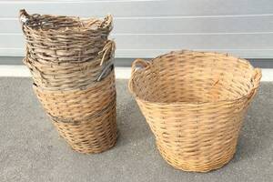 Korgar