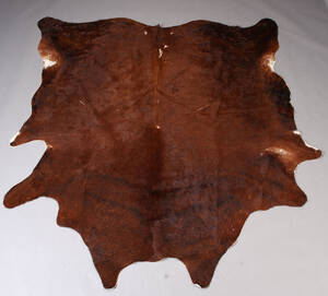 Koskind. 230 x 220 cm.