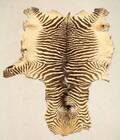 Zebraskinn