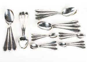 SILVER, 24 delar Haga