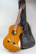 Gitarr Yamaha