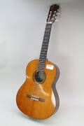 Gitarr Yamaha