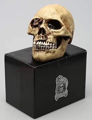 SKULLWAYS, Döskallesparbössa.