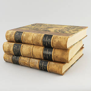 BOK, 3 vol Svenska Fåglar, M, W F  Von Wright, Stockholm, 1927-1929.
