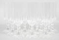 CHAMPAGNEGLAS, 12 stycken.