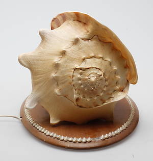 SNÄCKLAMPA, 1900-tal.