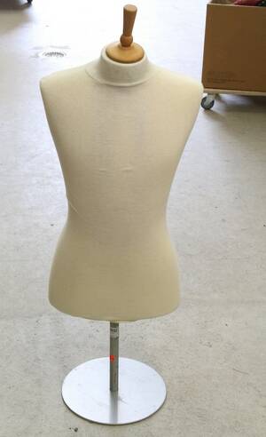 Torso