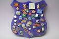 Pins
