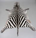 ZEBRASKINN.