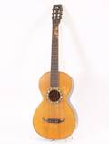 Akustisk gitarr, 1900-talets första del
