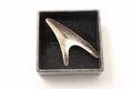 Brosch, Silver