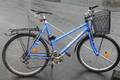 Damcykel Monark