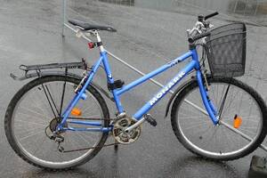 Damcykel Monark