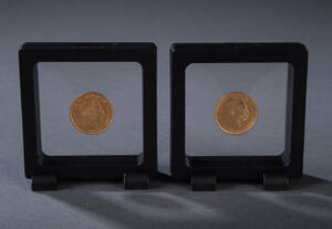 Danmark. 2 stk. 20 kroner guldmønter