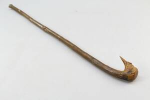Käpp