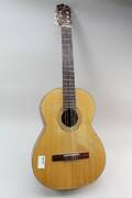 Gitarr