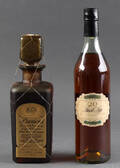 Prunier cognac 2