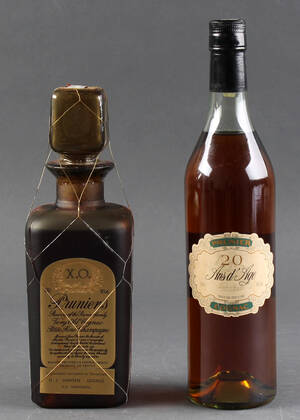 Prunier cognac 2