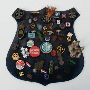 PINS MÄRKEN