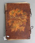 HERBARIUM, 1900-talets första hälft.