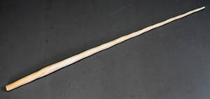 Grønlandica. Narhvalstand