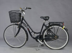 Kildemoes, damecykel. 6550