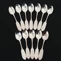 SKEDAR 12st, silver, 169g
