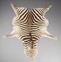 Zebraskind 1.
