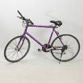 HERRCYKEL, Miyata.