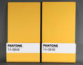 John Green for Seletti. Par magasin-  avisholdere af lakeret metal, Pantone farven 14-0848, Giallo  gul 2