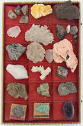 MINERALIEN- UND GESTEINSSAMMLUNG AUF SCHAUTABLETT.