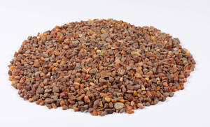 Samling uforarbejdede ravklumper, ca. 1000 gram