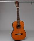 GITARR, Ibanez Japan.