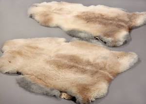 Økologisk islandsk fåreskind, str. XL 2