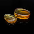 BÄRNSTENAR, 2 st, tot 3,70 ct, med insekter, Baltikum.