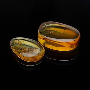 BÄRNSTENAR, 2 st, tot 3,70 ct, med insekter, Baltikum.