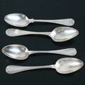 SKEDAR I SILVER