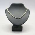 Halsband