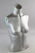 Torso