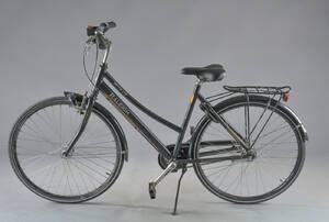 Raleigh, damecykel.