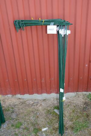 Växtstöd H 100 cm, 30 st