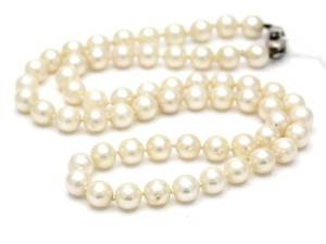 Pärlcollier odlade pärlor