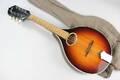 Mandolin Levin