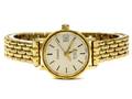 Tissot Seastar, damur