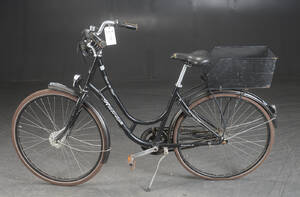Raleigh, damecykel, 5061