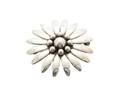 BROSCH