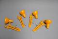 Fire Luxo arkitektlamper i gult metal 4 